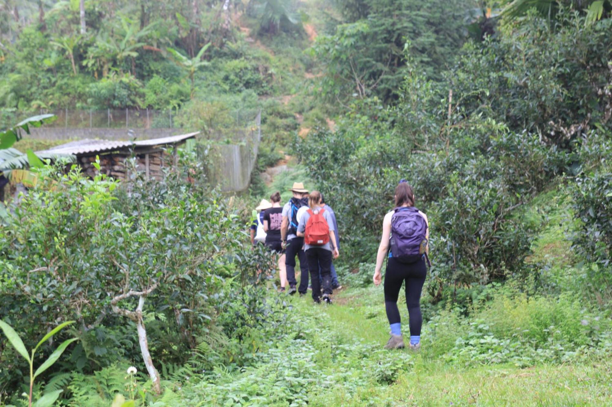Appartamento Thavill Retreat Hagiang Ha Giang Esterno foto
